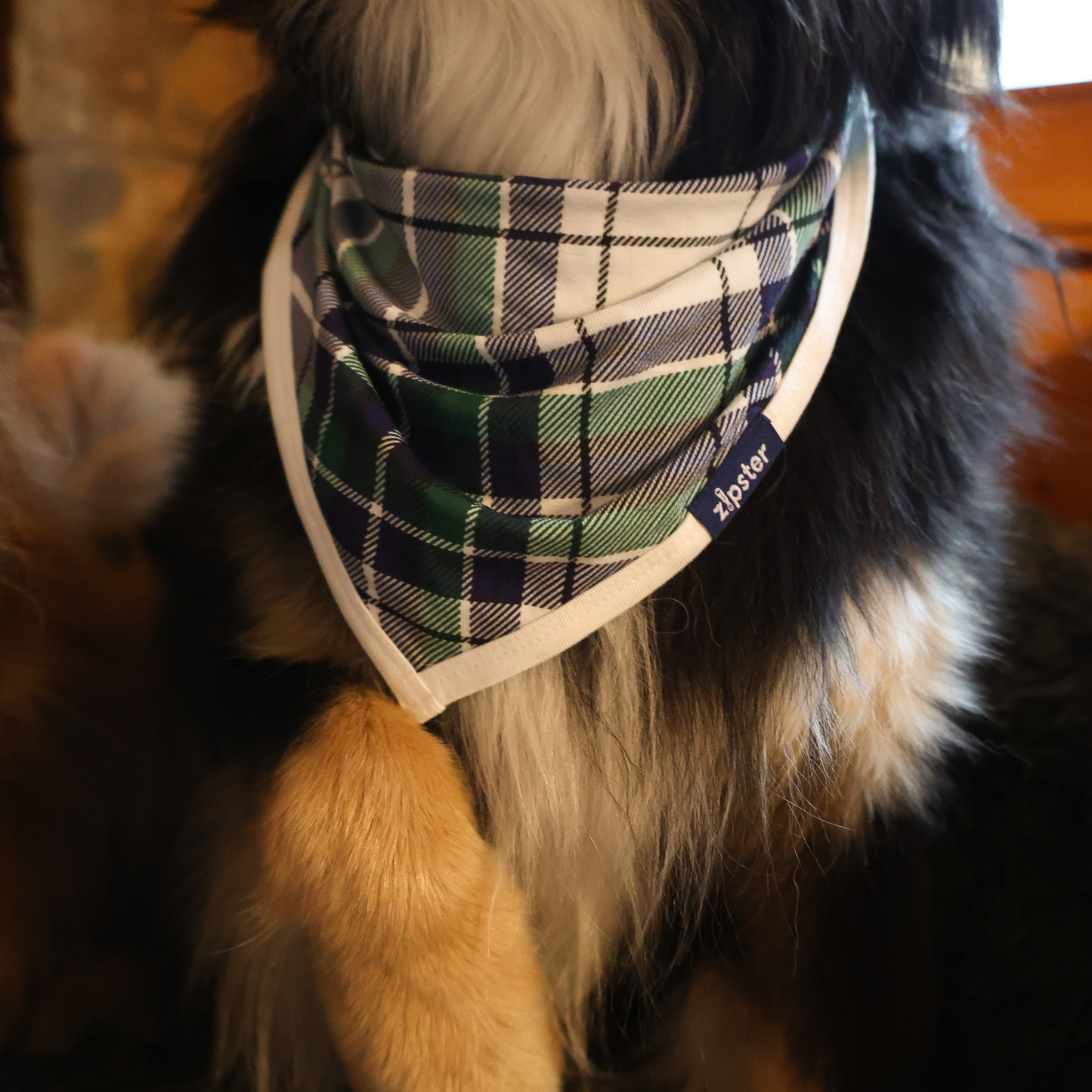 Dog Bib Green Tartan Pet Bandana