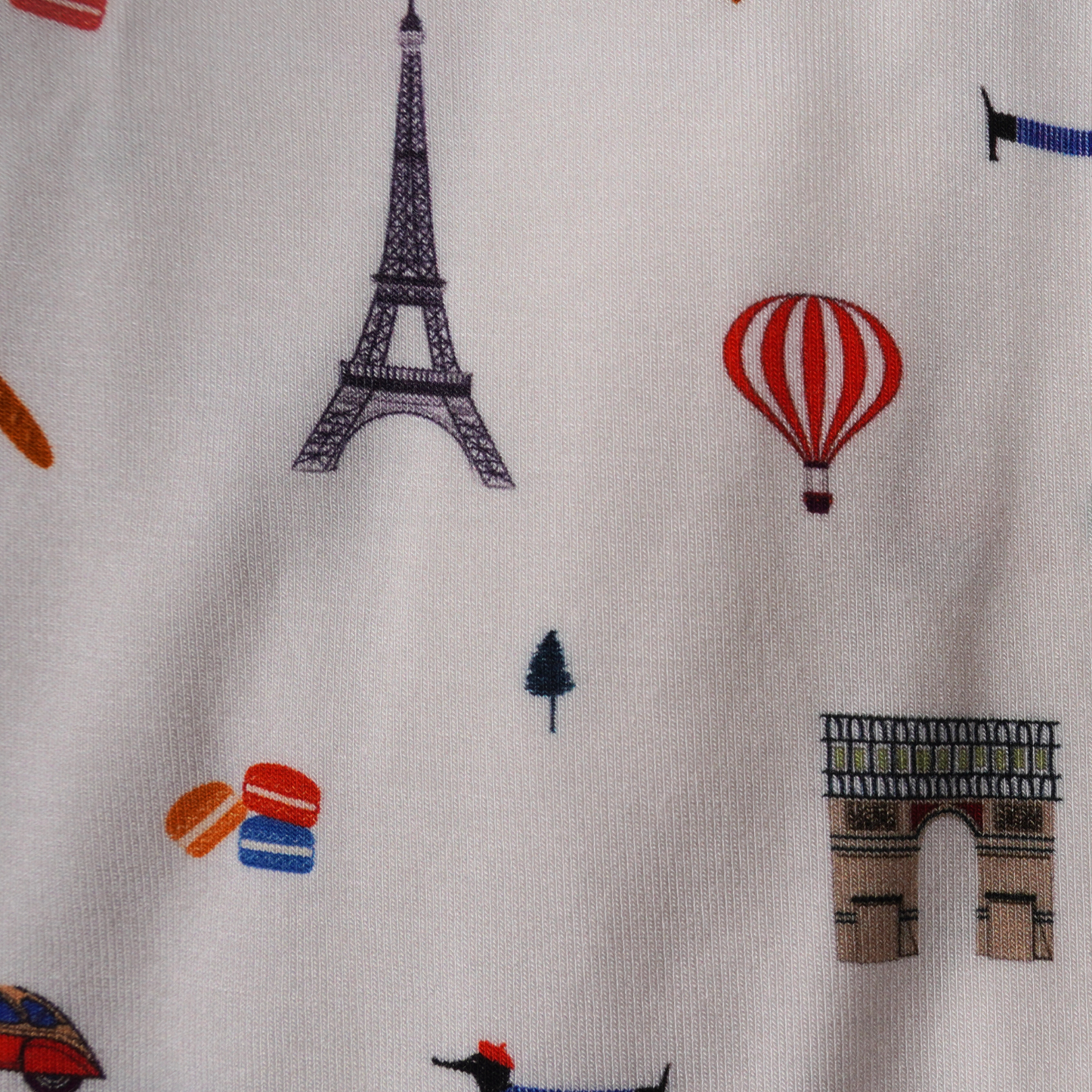 ZIPSTER™ Paris