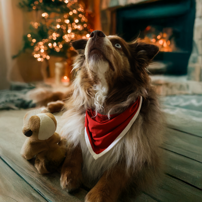 Dog Bib Red Heritage Pet Bandana