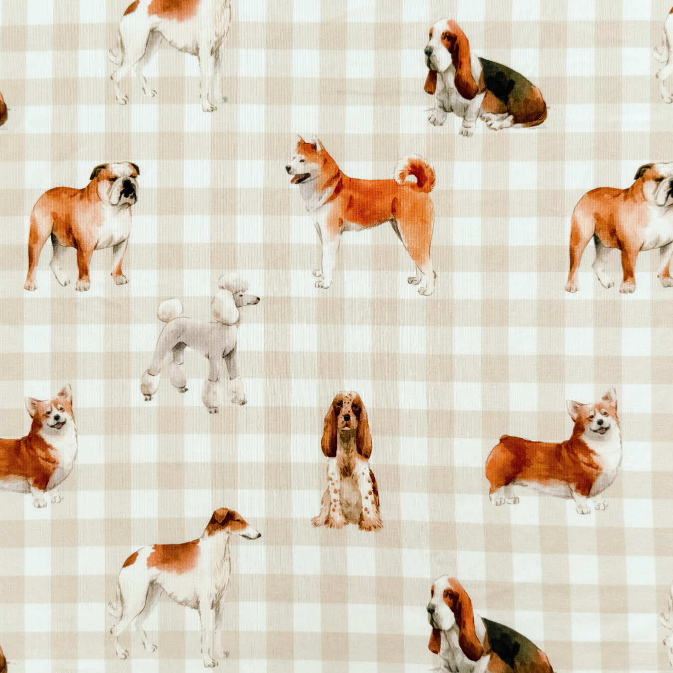 Children's PJ Set Doggy Day Care