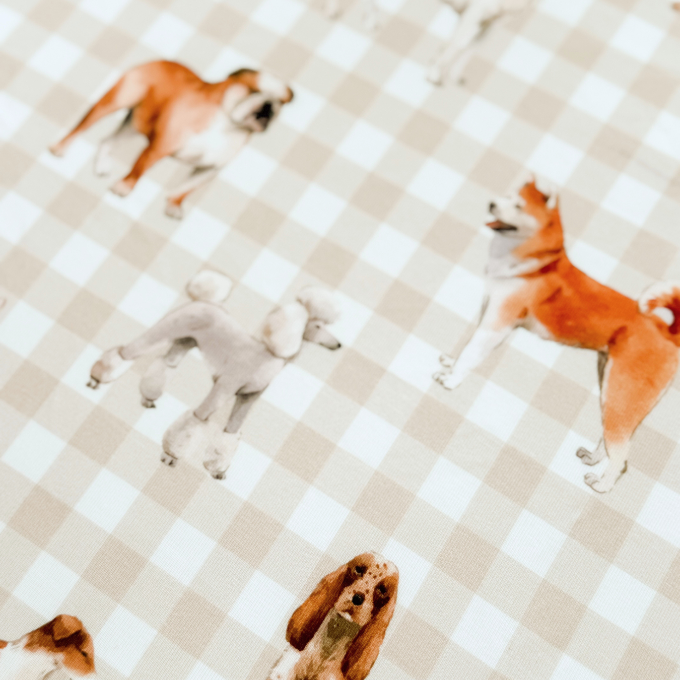 Children's PJ Set Doggy Day Care